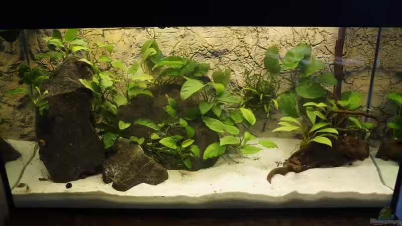 6. September  von Heiko Bertsch (6)