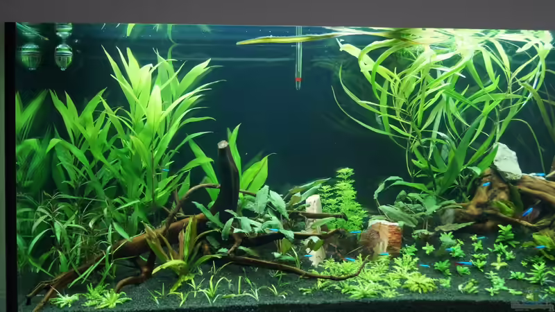 6. Tag endlich fertig bepflanzt von Kevin K. (4)