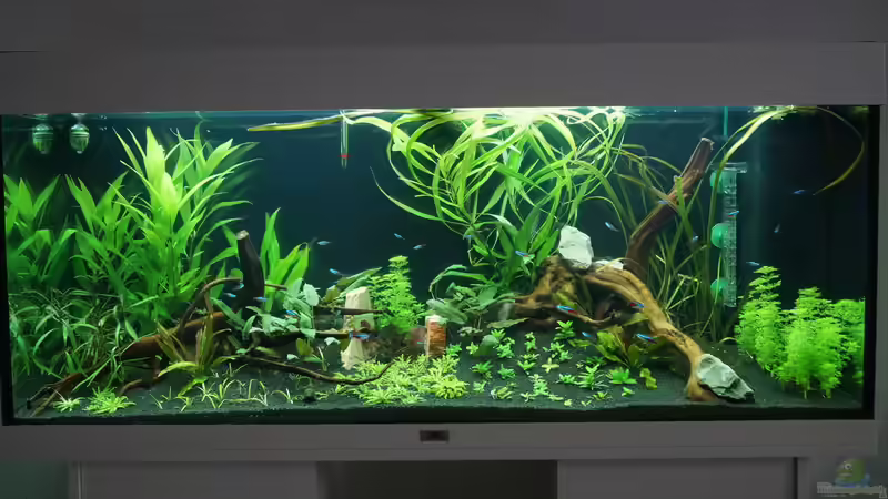 6. Tag endlich fertig bepflanzt von Kevin K. (6)