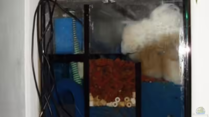 6.1.2010 Filterbecken - 3Kammern - etwa 100L (Brutto) von Mats (46)