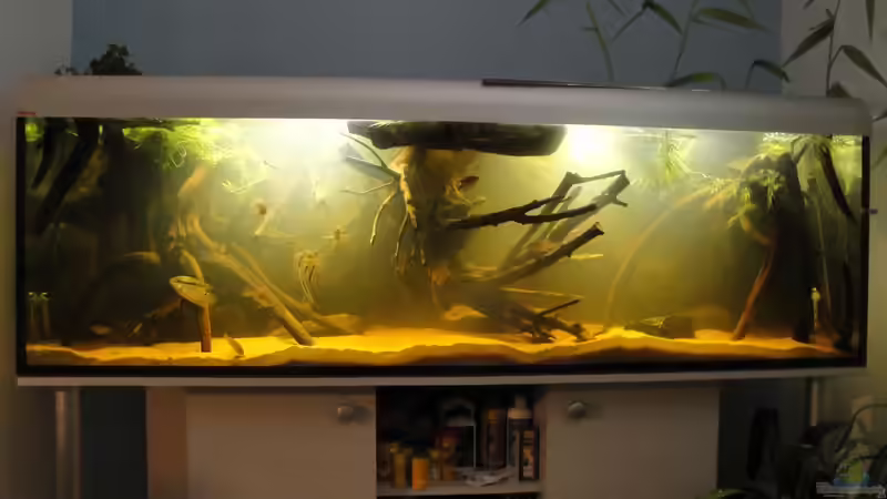 6.10.2012 von Laura (5)