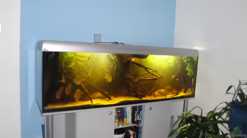 6.11.2011 von Laura (25)