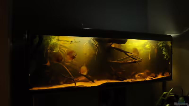 6.11.2011 von Laura (26)