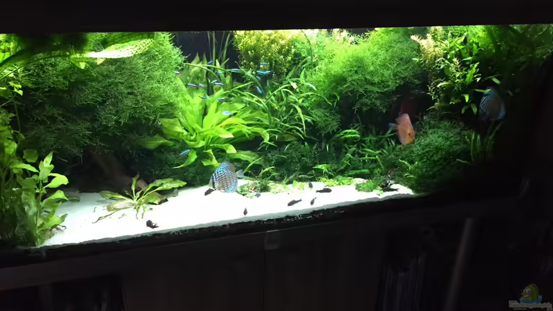 6.11.2015 von signo (27)