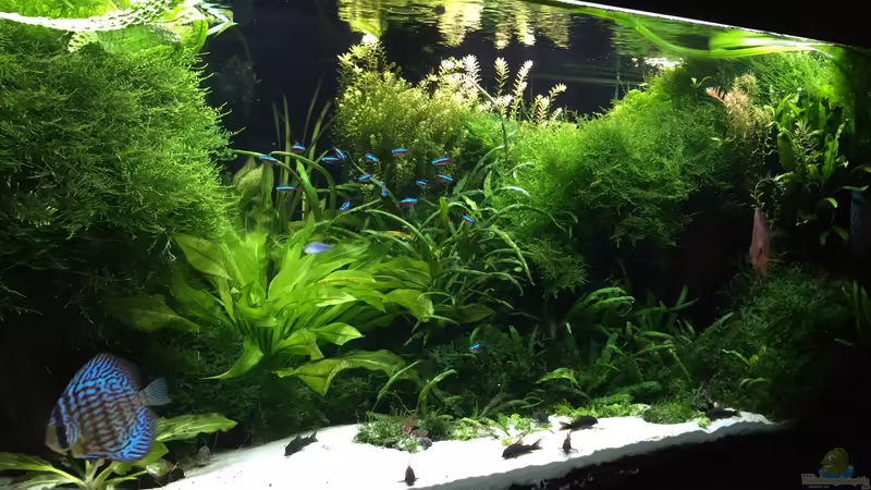 6.11.2015 von signo (29)