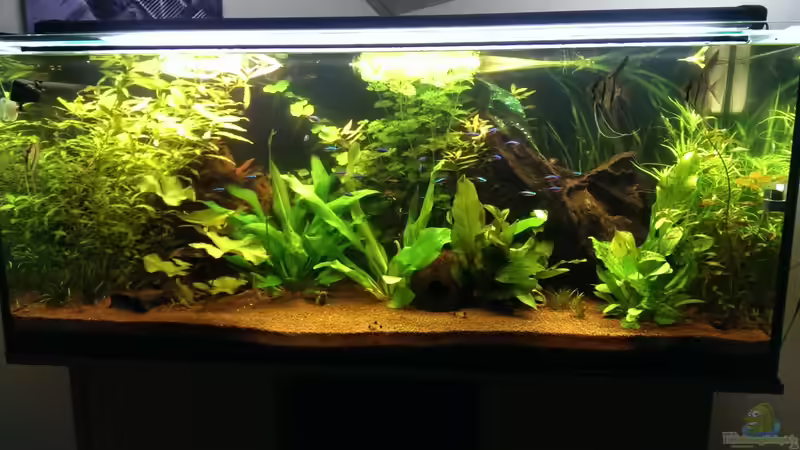 6.12.2013 von urml87 (1)