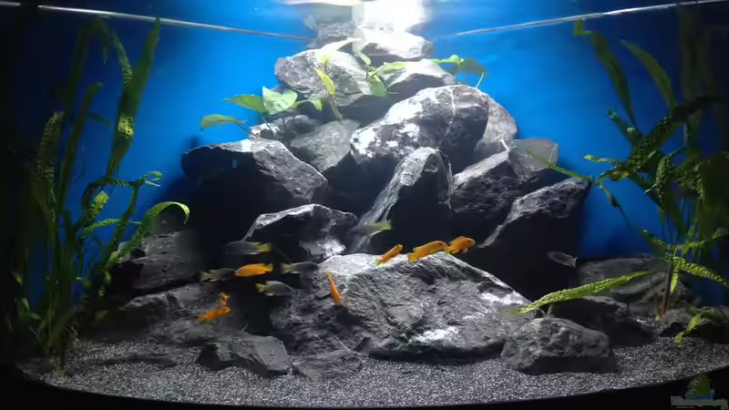 6.2.14 von Bodenseechris (5)