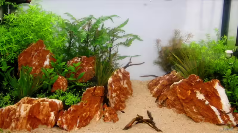 6.3.13 von Bjarke (10)