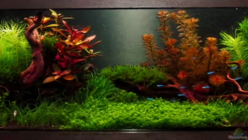 6.3.13 von Bjarke (16)