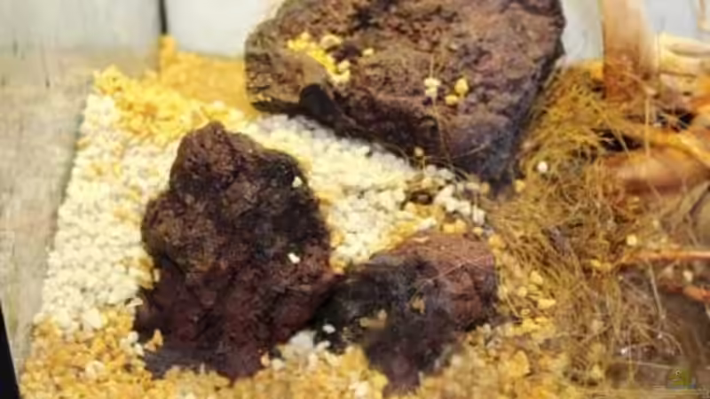 6/4/2014 Correcions al relleu von lomarraco (10)