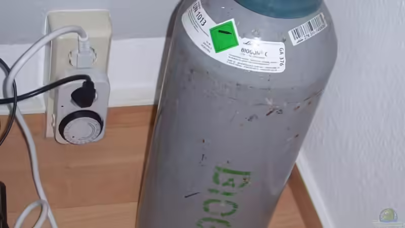6 Kg Flasche Co2  von Lotte und Hendo (44)