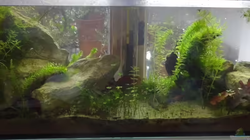 6 Monate - Februar 2016 von paris (8)