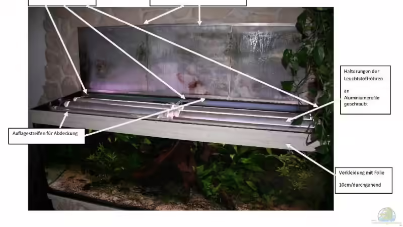 6 Neonröhren liegen auf den Querstreben des AQ von @mazonas (39)