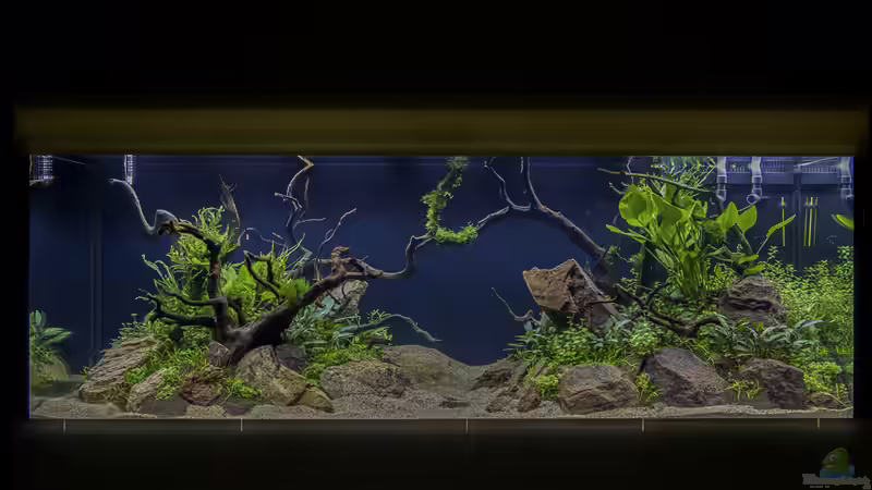 6 Tage in Betrieb von JARB (2)