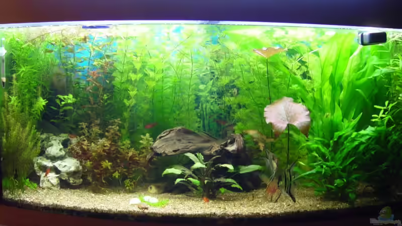 6 von Alexander Schilke (4)