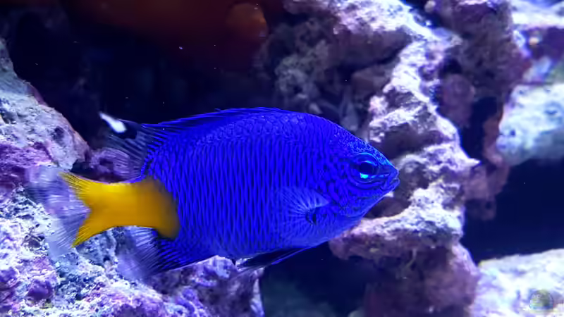 6 von Jens Berthold (14)