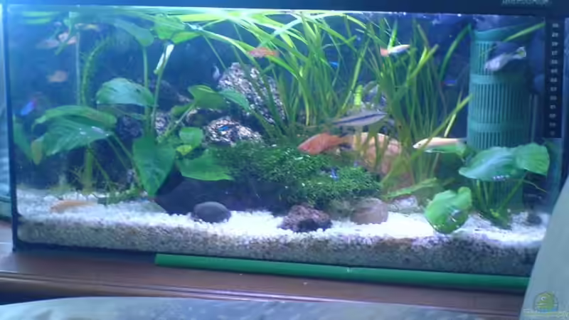 60 Liter  von Andreas Kraft (1)