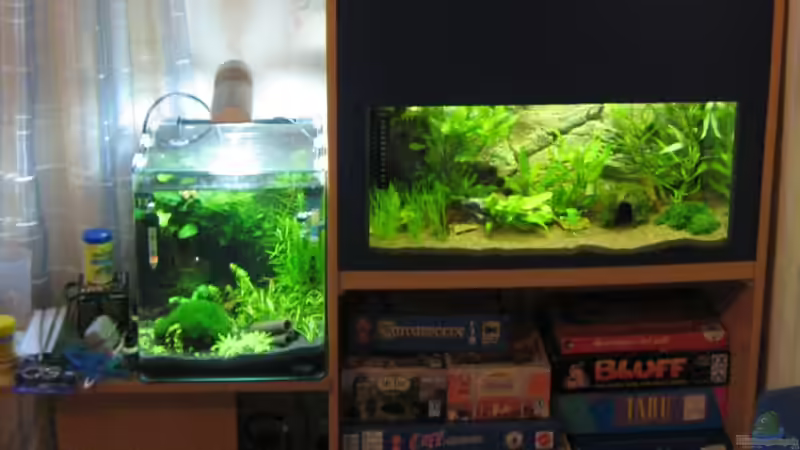 60 Liter Krebsbecken von Aquarium-Bochum (1)