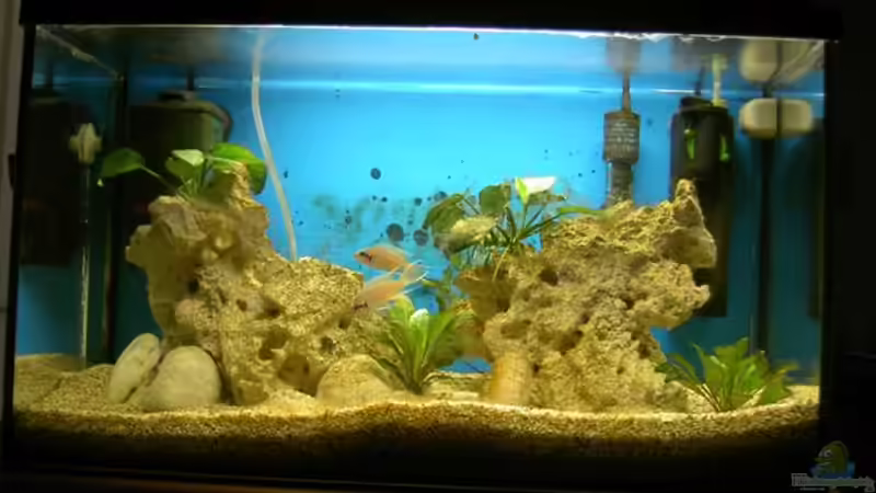 60er Becken im Schlafzimmer von Kurt Kastl (1)