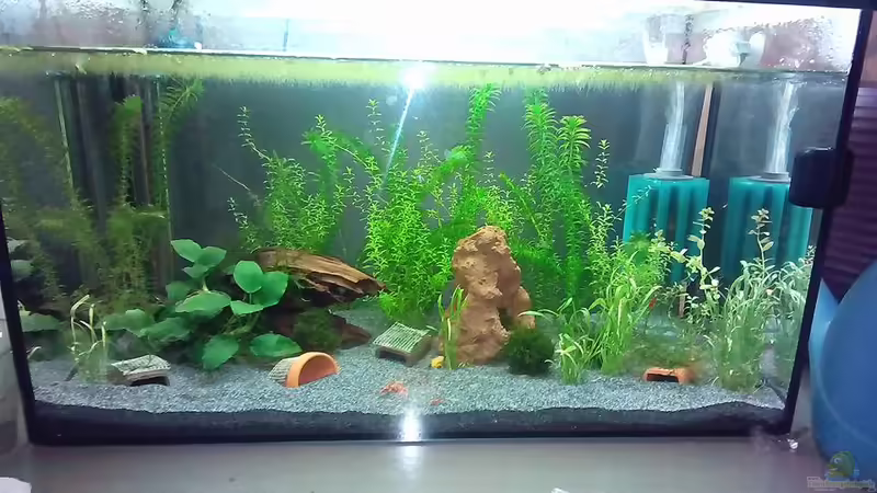 60l Becken von Elaria (2)