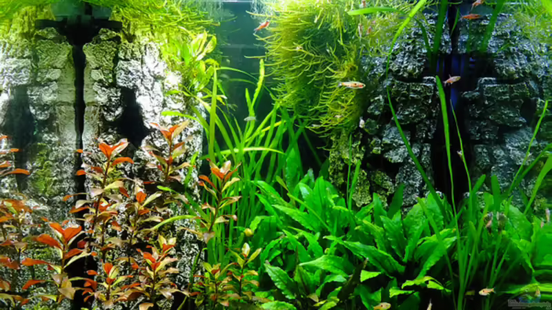 60l Cube von avronaut (1)