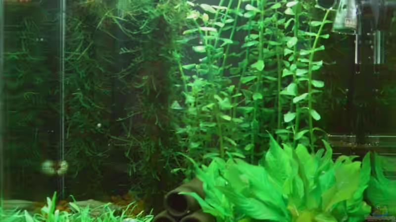 62. Tag von marspi (5)