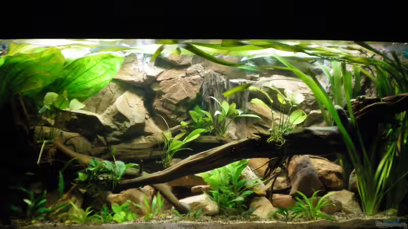 7.09.2012 von Falk Bellmann (2)