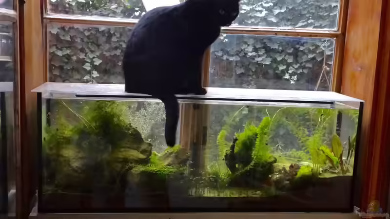 7 1/2 Monate - Mitte März 2016 von paris (10)