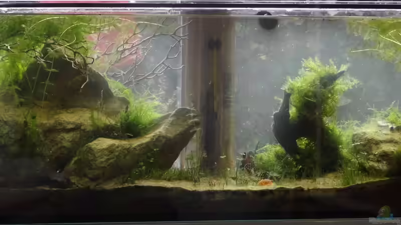 7 1/2 Monate - Osterputz  von paris (11)