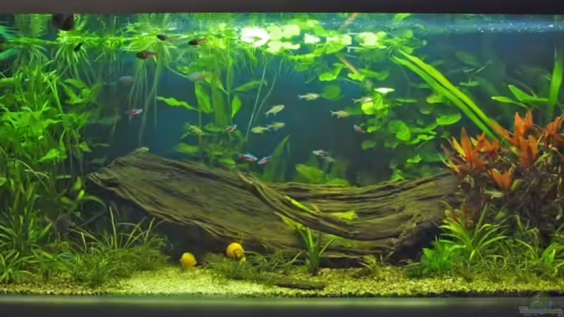 7.10.08 von smily (7)