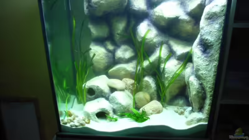 7.11.08 von Oliver Czaika (8)