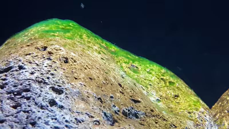 7.12. Patina  von Mel (28)