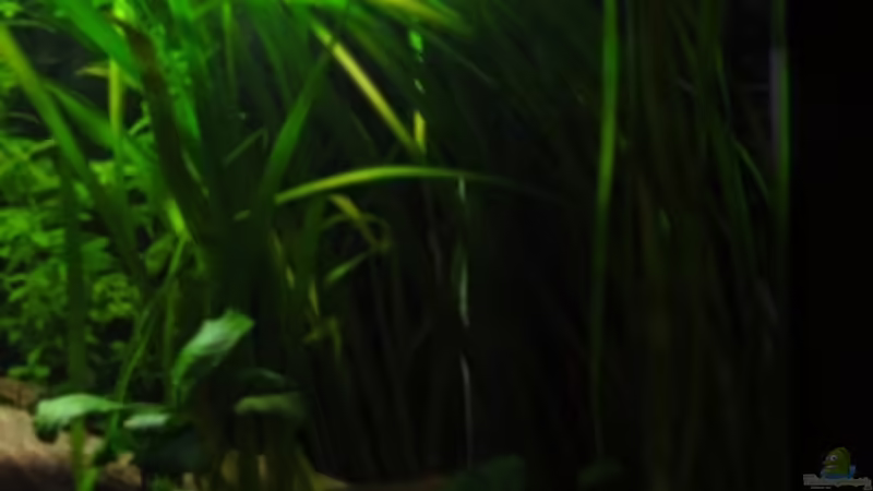 7.2.12 von Heiko Stracke (33)