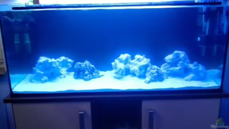 7.3.11 von Johannes 88 (3)