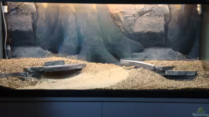 7.5.2012 der Rohbau ist fertig von Marina (16)