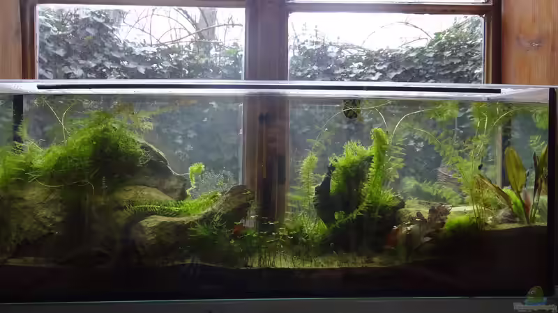 7 Monate März 2016 von paris (9)