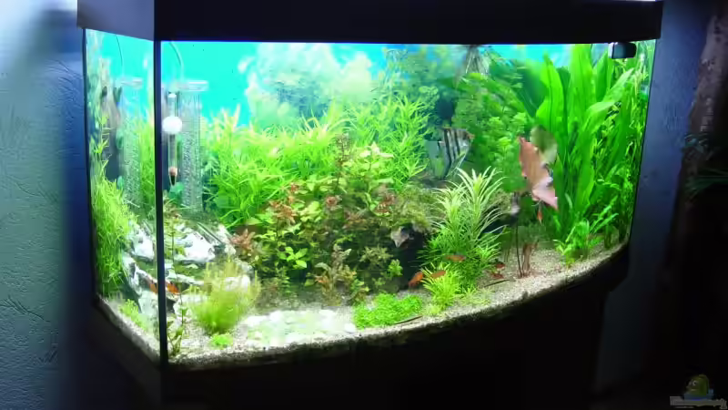 7 von Alexander Schilke (3)