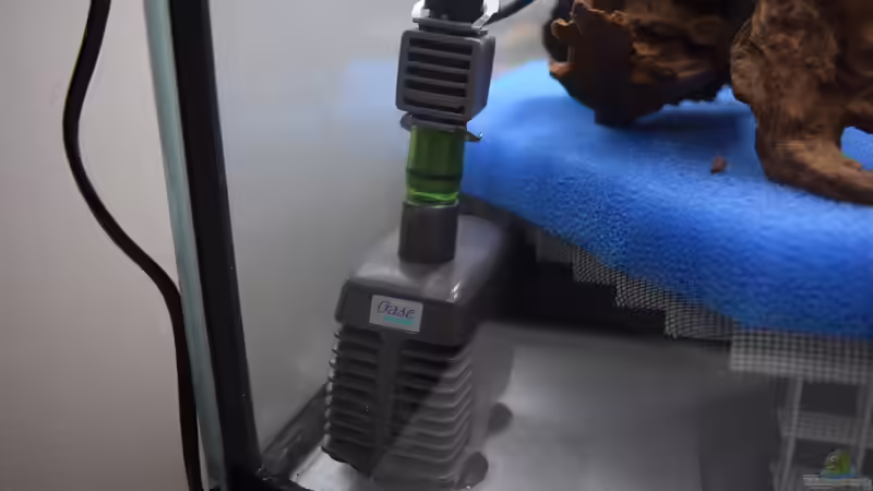 7 Watt Teichpumpe mit Reduzierung für 16 mm Druckschlauch von Junglist (20)