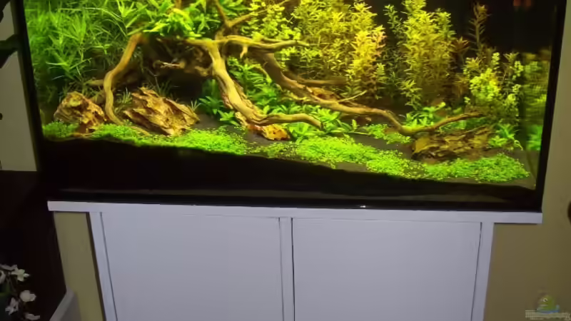 7 Wochen nach Neueinrichtung von Gunnar Otte (8)