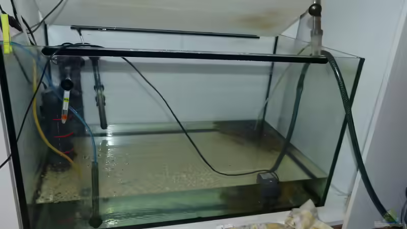 70-80%iger Wasserwechsel 14.12.14 von ~Marco~ (6)