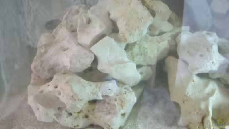 70 Kg Lochgestein von Torsten Dau (11)