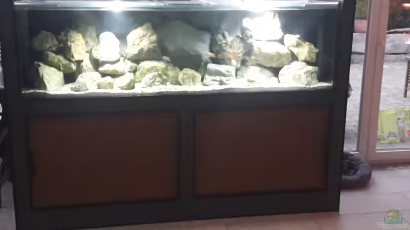 720 Liter Mbuna Becken 200x60x60 von Daniel Hausener (1)