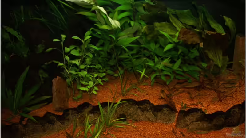 720l linke Seite August 2010 von Christian Zwick (6)