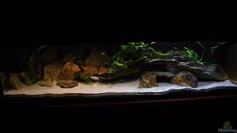 720L Victoria Becken von Tobias Seiffert (1)