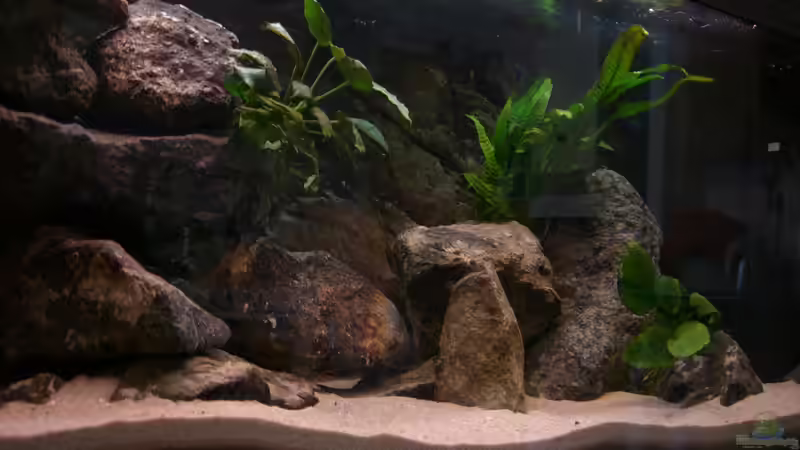 75 % Dimmung von chanty (10)