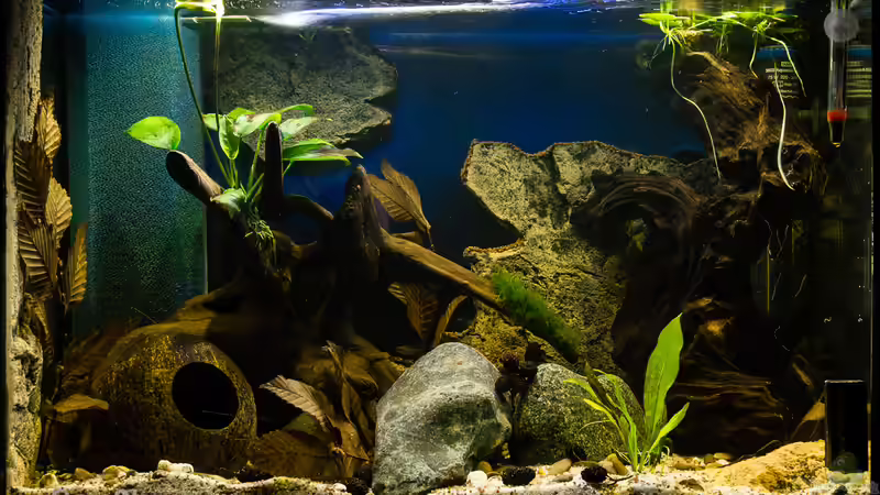 75% Beleuchtung von GoreSlayer (10)