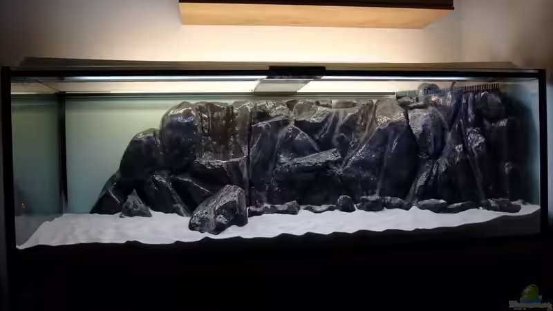 75 kg feinster Sand von Trooper (36)