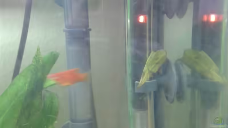 75 Watt Jäger Heizstab + Filteransaugstutzen von Reinhold Berk (17)