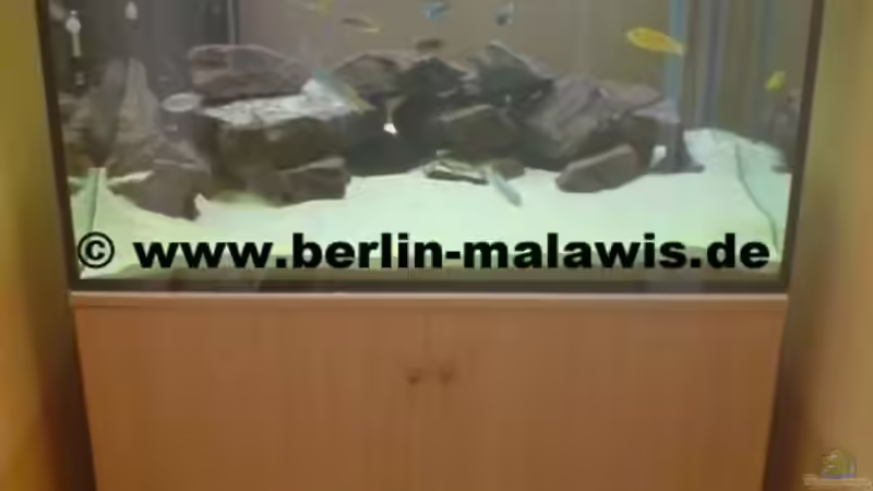 756 L Bunabecken von *www.berlin-malawis.de* (1)