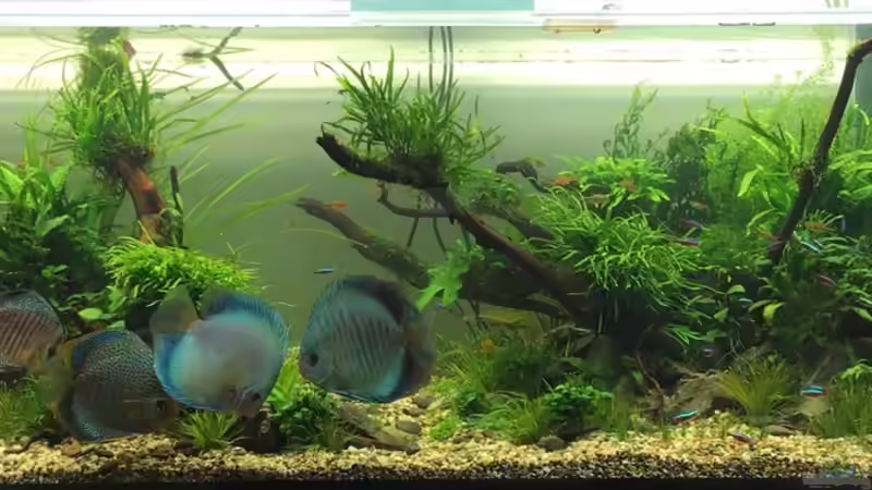 8. Tag von Torsten Franke (11)